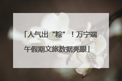 人气出“粽”！万宁端午假期文旅数据亮眼