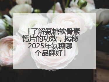 了解氨糖软骨素钙片的功效，揭秘2025年氨糖哪个品牌好