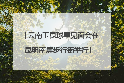 云南玉昆球星见面会在昆明南屏步行街举行