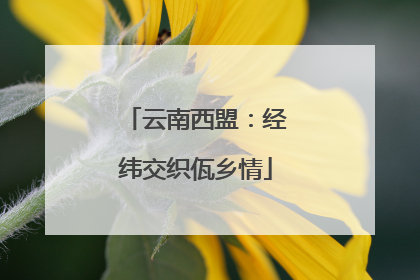 云南西盟：经纬交织佤乡情