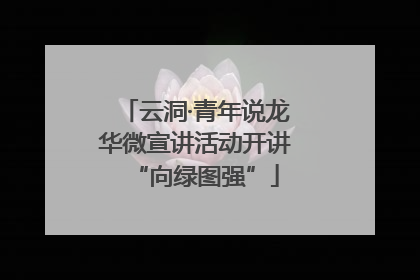 云洞·青年说龙华微宣讲活动开讲“向绿图强”