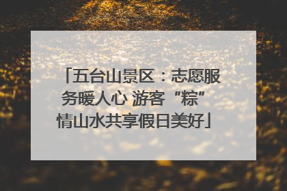 五台山景区：志愿服务暖人心 游客“粽”情山水共享假日美好