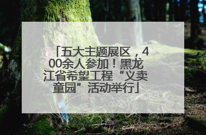 五大主题展区，400余人参加！黑龙江省希望工程“义卖童园”活动举行