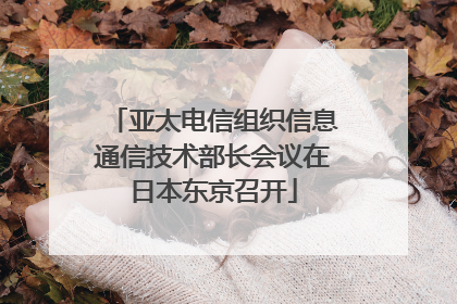 亚太电信组织信息通信技术部长会议在日本东京召开