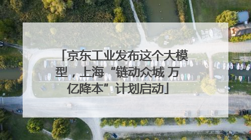 京东工业发布这个大模型，上海“链动众城 万亿降本”计划启动