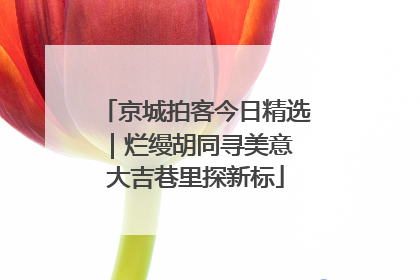 京城拍客今日精选｜烂缦胡同寻美意 大吉巷里探新标