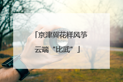 京津冀花样风筝云端“比武”