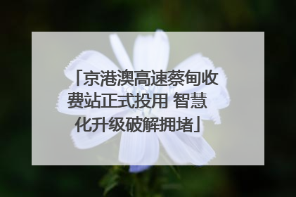 京港澳高速蔡甸收费站正式投用 智慧化升级破解拥堵