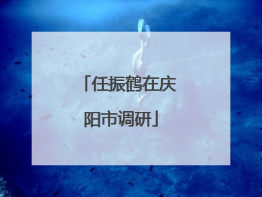任振鹤在庆阳市调研