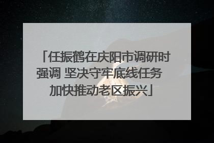 任振鹤在庆阳市调研时强调 坚决守牢底线任务 加快推动老区振兴