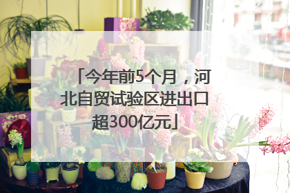 今年前5个月，河北自贸试验区进出口超300亿元