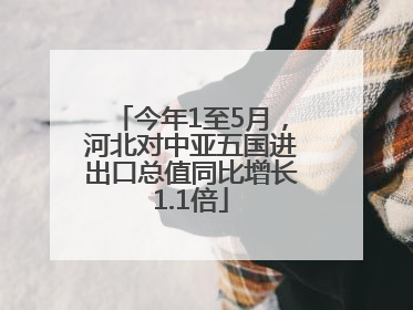 今年1至5月，河北对中亚五国进出口总值同比增长1.1倍