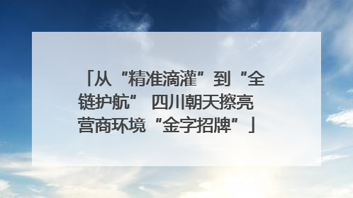 从“精准滴灌”到“全链护航” 四川朝天擦亮营商环境“金字招牌”