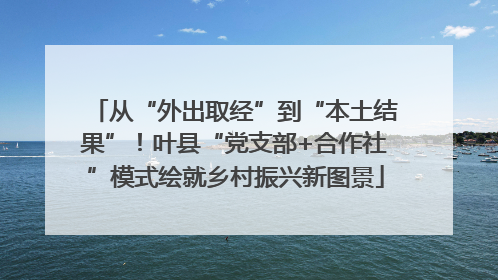 从“外出取经”到“本土结果”！叶县“党支部+合作社”模式绘就乡村振兴新图景