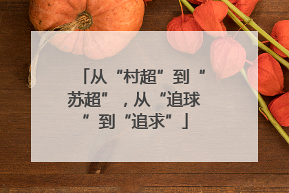 从“村超”到“苏超”，从“追球”到“追求”