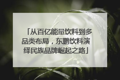 从百亿能量饮料到多品类布局，东鹏饮料演绎民族品牌崛起之路