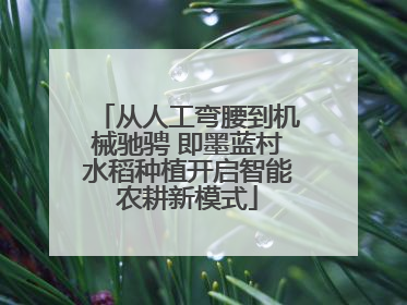 从人工弯腰到机械驰骋 即墨蓝村水稻种植开启智能农耕新模式