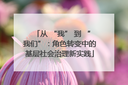 从 “我” 到 “我们”：角色转变中的基层社会治理新实践