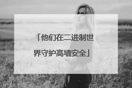他们在二进制世界守护高墙安全