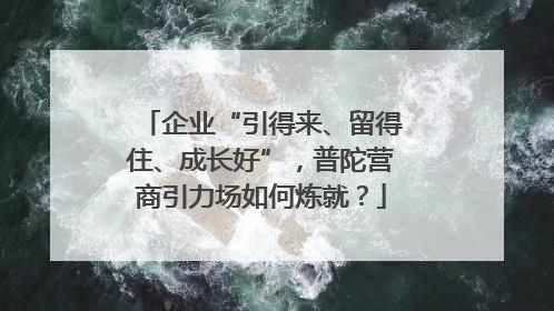 企业“引得来、留得住、成长好”，普陀营商引力场如何炼就？