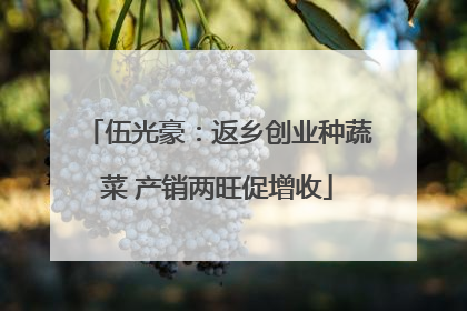 伍光豪：返乡创业种蔬菜 产销两旺促增收