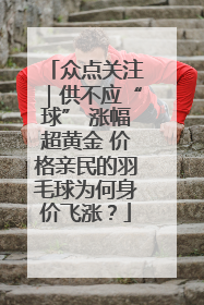 众点关注｜供不应“球” 涨幅超黄金 价格亲民的羽毛球为何身价飞涨？