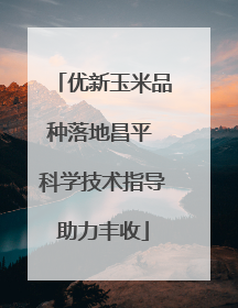 优新玉米品种落地昌平 科学技术指导助力丰收