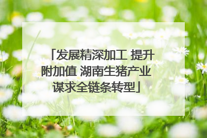 发展精深加工 提升附加值 湖南生猪产业谋求全链条转型