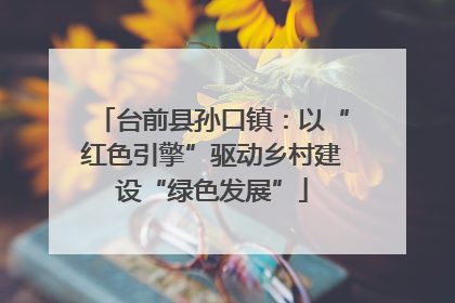 台前县孙口镇：以“红色引擎”驱动乡村建设“绿色发展”