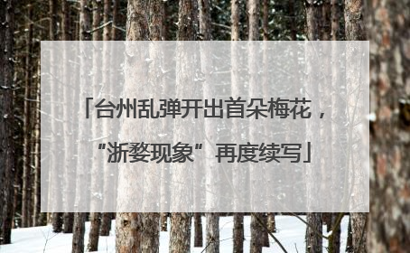 台州乱弹开出首朵梅花，“浙婺现象”再度续写