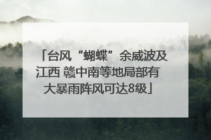 台风“蝴蝶”余威波及江西 赣中南等地局部有大暴雨阵风可达8级