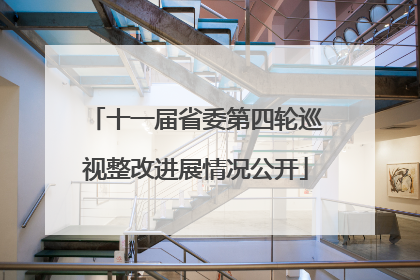 十一届省委第四轮巡视整改进展情况公开