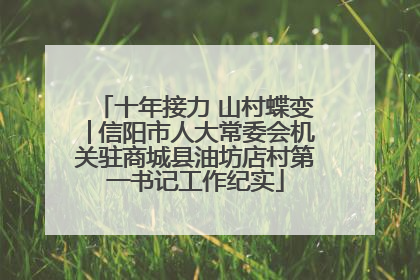 十年接力 山村蝶变│信阳市人大常委会机关驻商城县油坊店村第一书记工作纪实