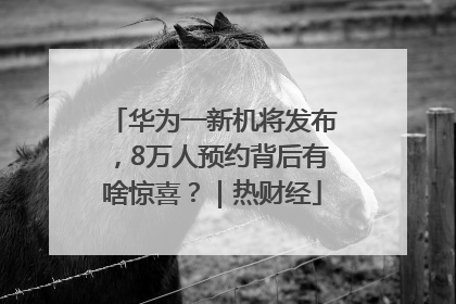 华为一新机将发布，8万人预约背后有啥惊喜？｜热财经