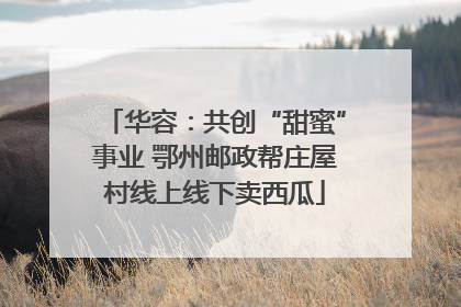 华容：共创“甜蜜”事业 鄂州邮政帮庄屋村线上线下卖西瓜