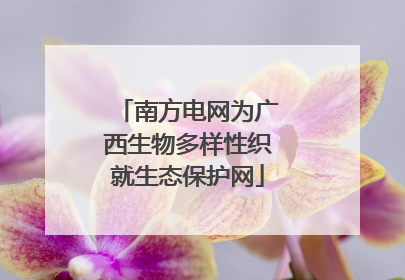 南方电网为广西生物多样性织就生态保护网