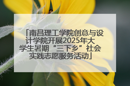 南昌理工学院创意与设计学院开展2025年大学生暑期“三下乡”社会实践志愿服务活动
