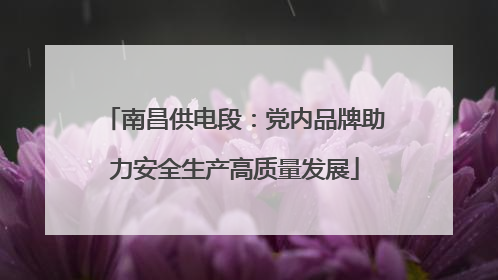 南昌供电段：党内品牌助力安全生产高质量发展