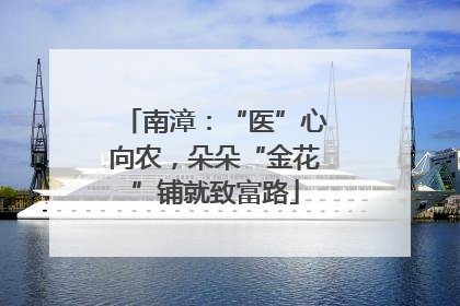 南漳：“医”心向农，朵朵“金花”铺就致富路