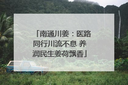 南通川姜：医路同行川流不息 养润民生姜荷飘香