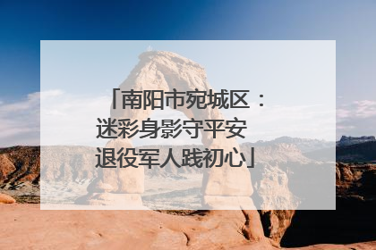南阳市宛城区：迷彩身影守平安 退役军人践初心