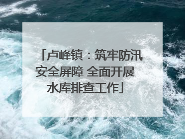 卢峰镇：筑牢防汛安全屏障 全面开展水库排查工作
