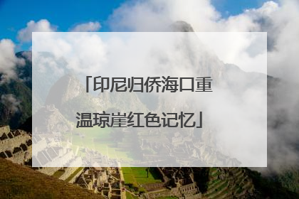 印尼归侨海口重温琼崖红色记忆