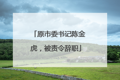 原市委书记陈金虎，被责令辞职