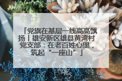 党旗在基层一线高高飘扬丨雄安新区雄县黄湾村党支部：在老百姓心里，筑起“一座山”