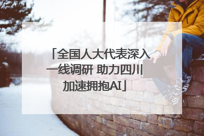 全国人大代表深入一线调研 助力四川加速拥抱AI