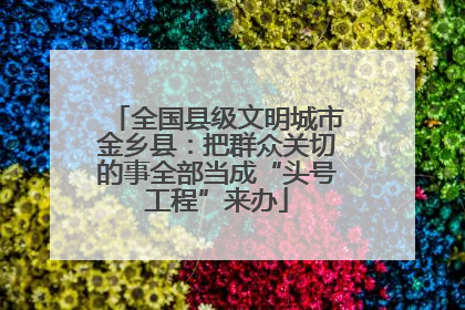 全国县级文明城市金乡县：把群众关切的事全部当成“头号工程”来办