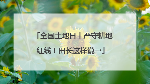全国土地日丨严守耕地红线！田长这样说→