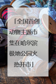全国首创动物主题市集在哈尔滨极地公园火热开市