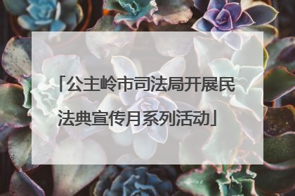 公主岭市司法局开展民法典宣传月系列活动